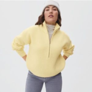 Everlane The Felted Merino Half-Zip Sweater